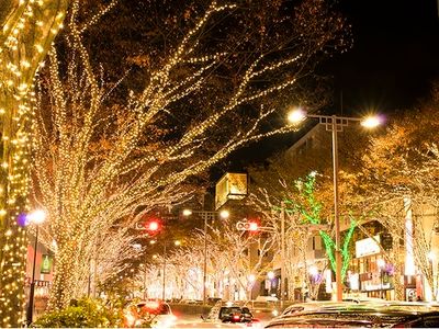 A hidden retreat in an exclusive residential area