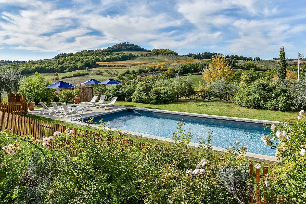 Leonardo gallery image 3