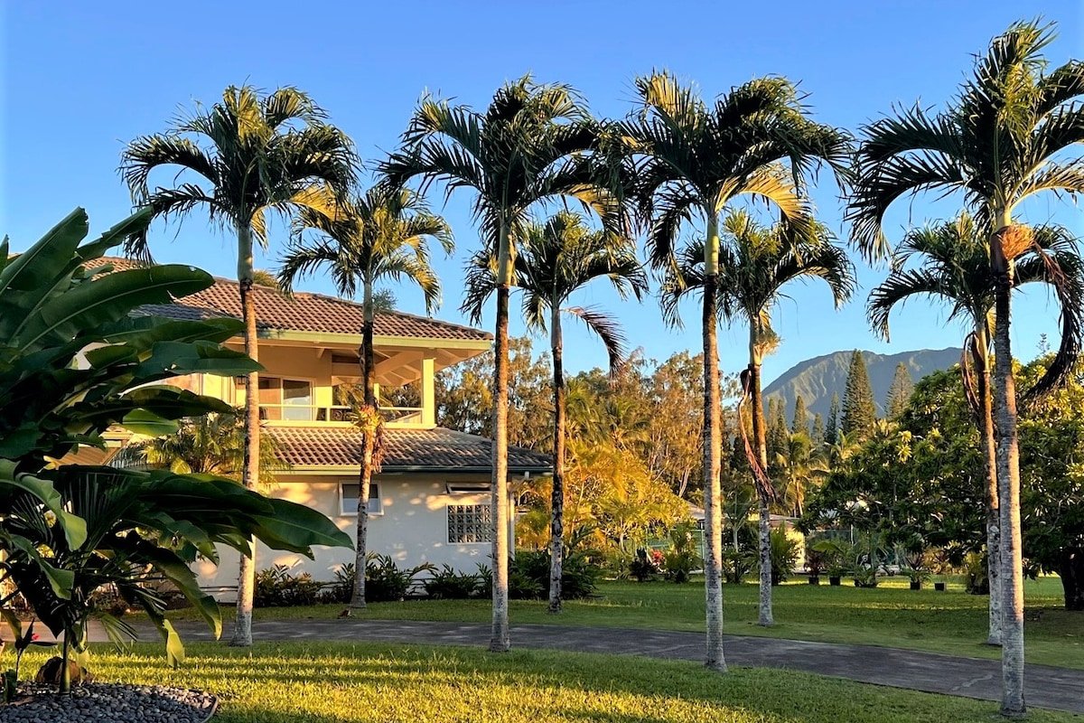 Mokihana House Kauai: Renovated with AC & pool gallery image 3