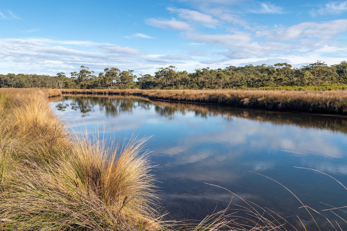 Cloudy Creek Cottage – Serenity, views & nature! gallery image 2