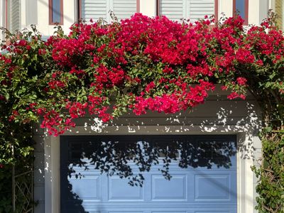 Totally Renovated Victorian House in Center SF!