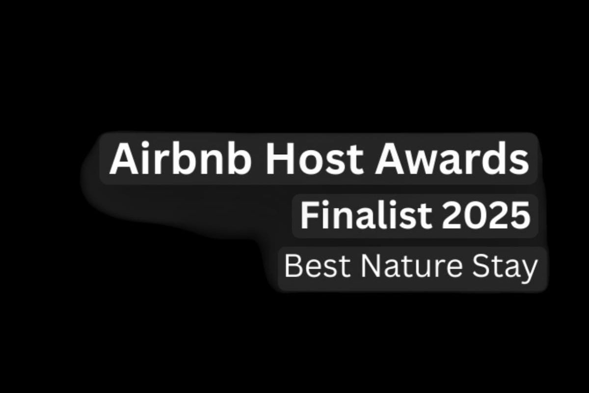 Lobster Pot Cabin – Waterfront Escape Freycinet gallery image 5