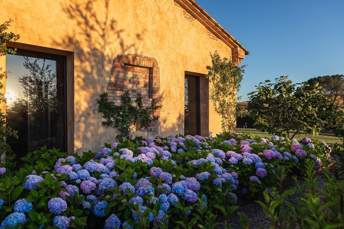 San Gerolamo gallery image 2