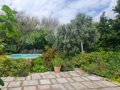 Coastal Tranquility with Lush Garden & Pool