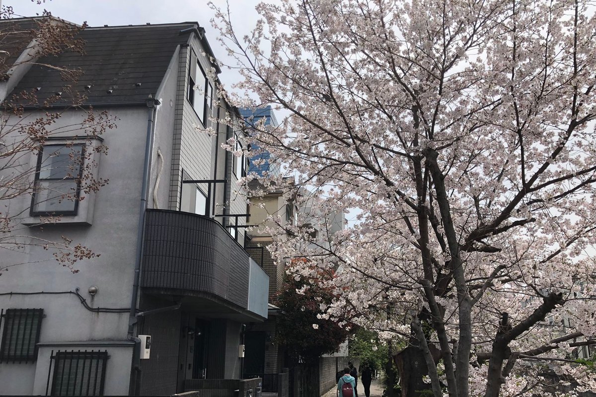 新宿＆渋谷&大久保近く!駅から5分。東京中心の私人别墅! 美しい桜と川(0ｍ)の眺め!専門会社の清掃