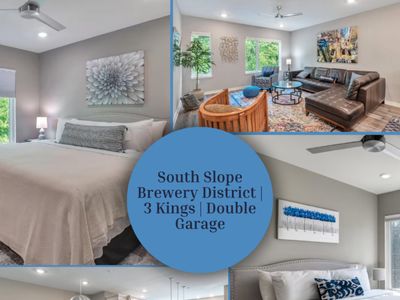 Asheville Proud South Slope Townhome