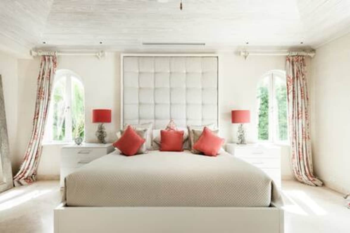 Old Trees Firefly gallery image 5