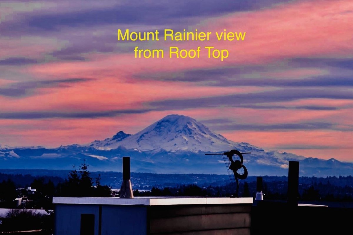 Walk to CapHill 4B2.5B Sleeps 12 w/Rooftop deck