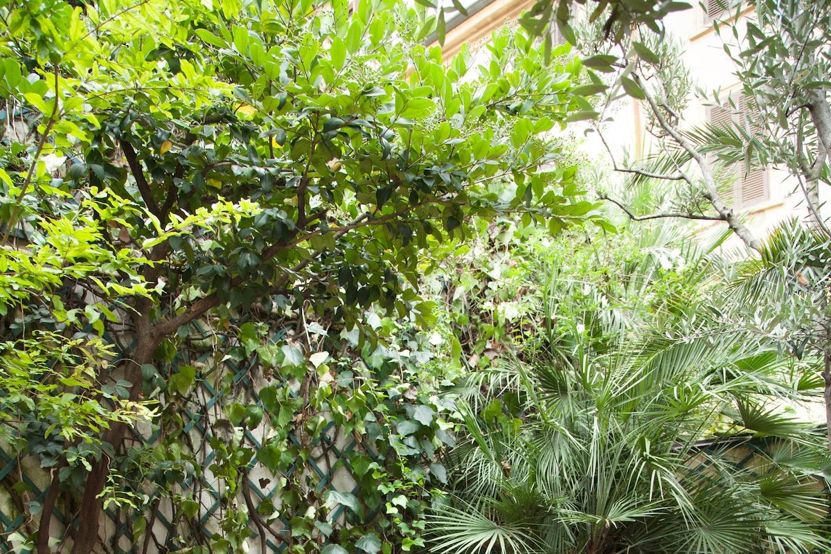 WP Relais Palm Fronds gallery image 3