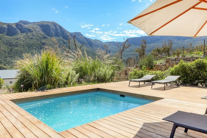 Constantia Dream featured image