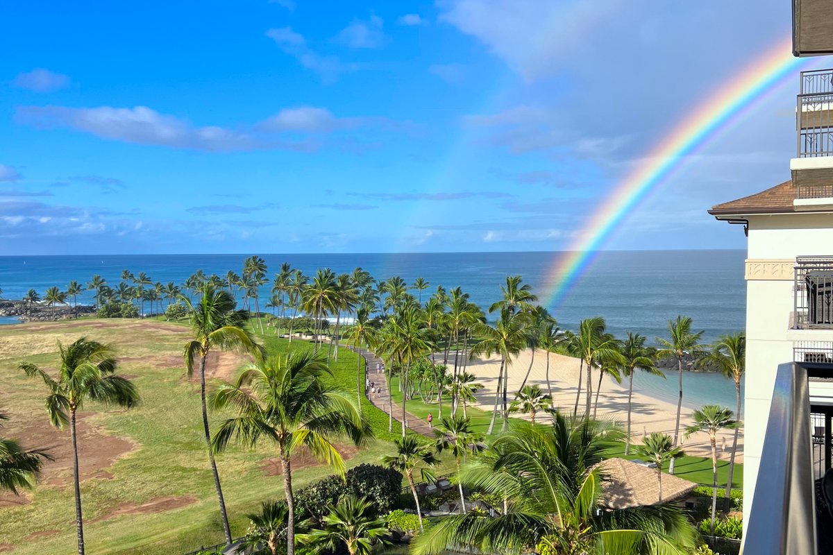 Last Min Special: Spectacular Oceanview 3BR B703