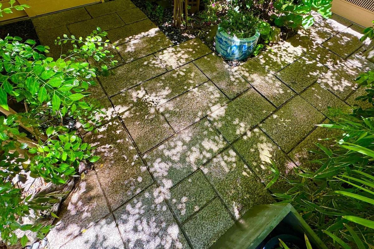 【2棟プライベート貸切！】庭付き 建物総面積約130㎡ 最大8名！駅近 畳 床暖房、Wi-Fi完備 gallery image 3