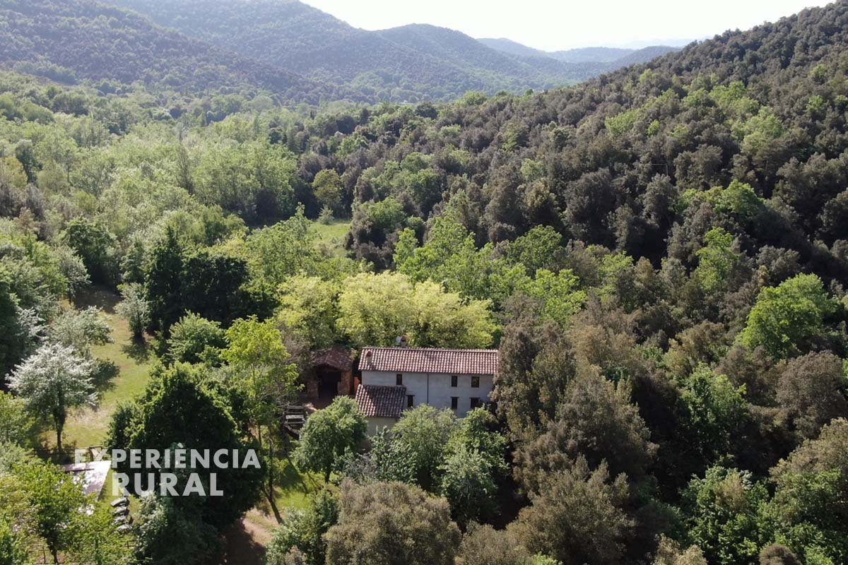 Masía aislada con piscina rodeada de bosques gallery image 3
