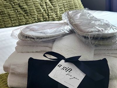 Luxe 2 level Apt nr Seaport/Convention Centre BCEC