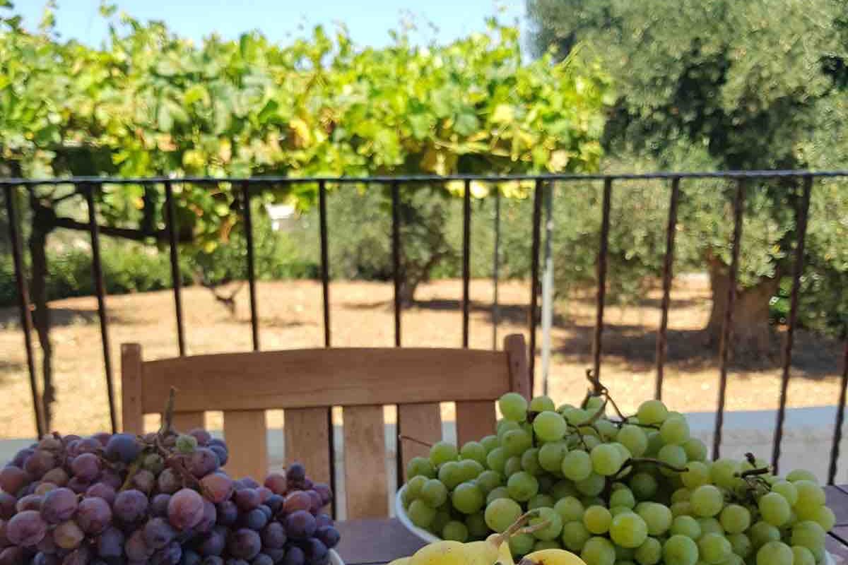 Trullo Maria Leo Puglia – with stunning pool gallery image 5