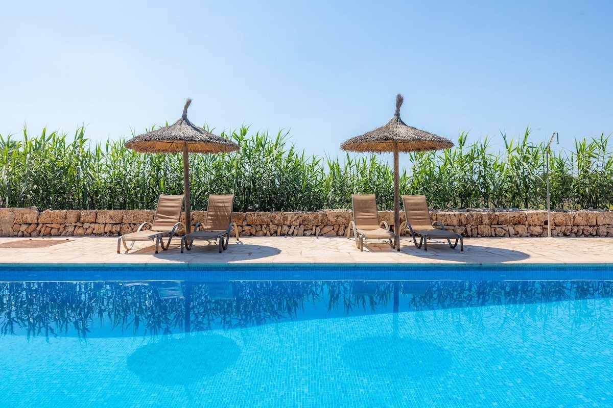 Xaloc gallery image 2