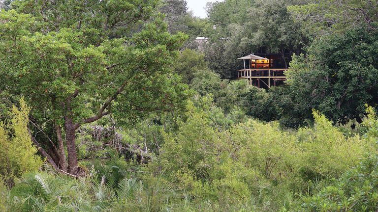 Tree Camp - Exterior