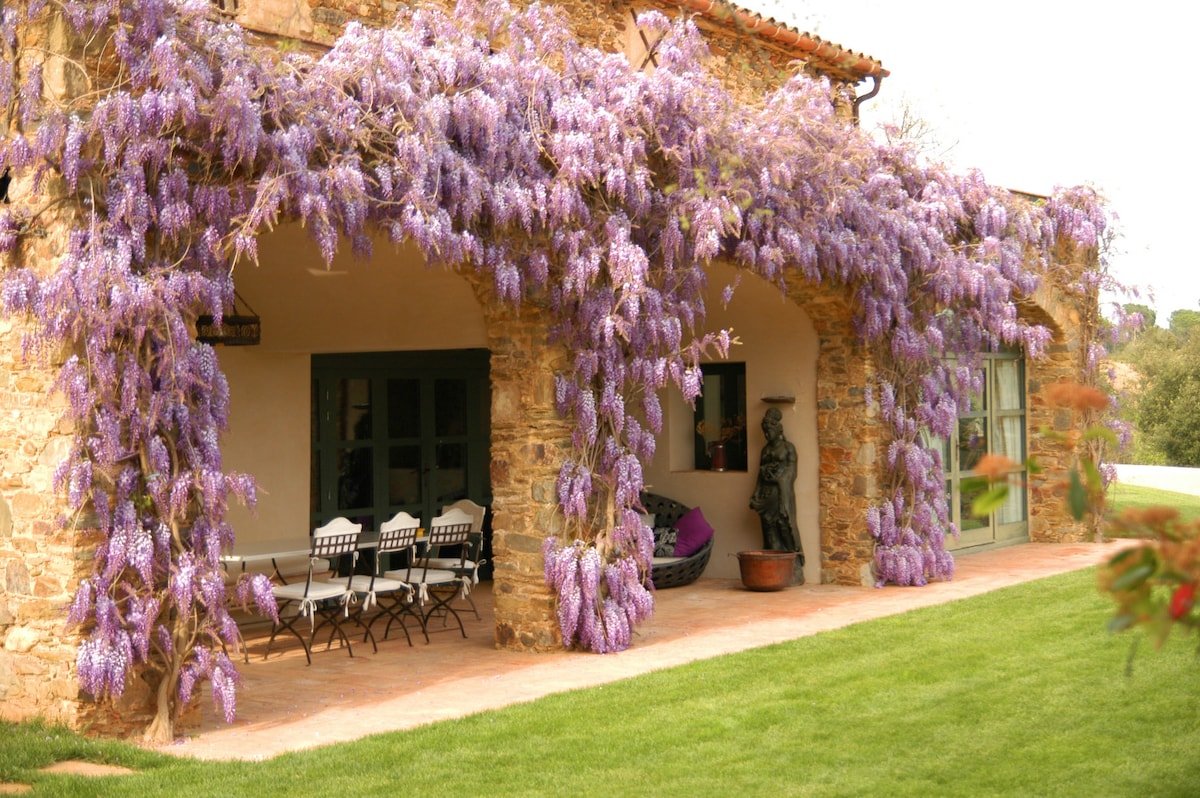 Fun, sea and relax in the Catalan Tuscany gallery image 3