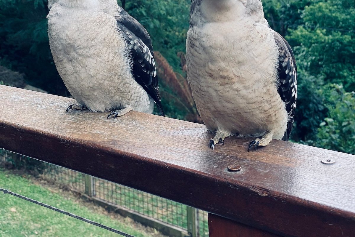 Villa with Spa & Breathtaking Views of Dandenongs gallery image 4