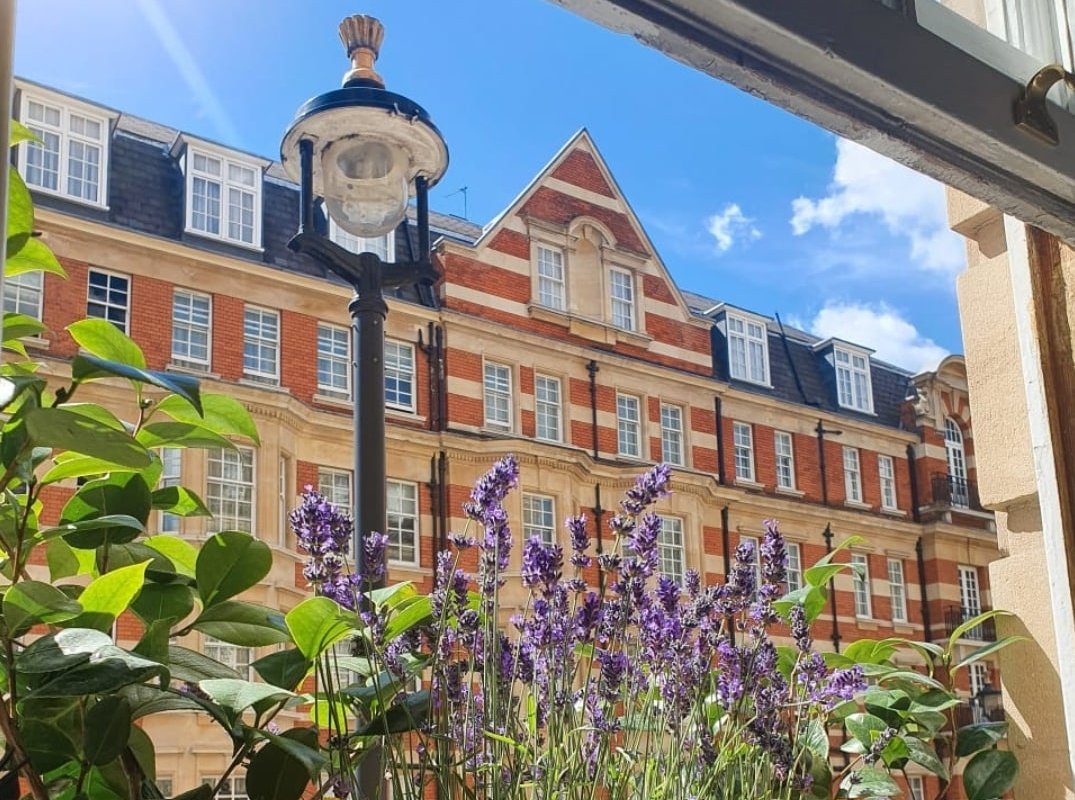 Spacious 4 BR apartment, in Marble Arch gallery image 4