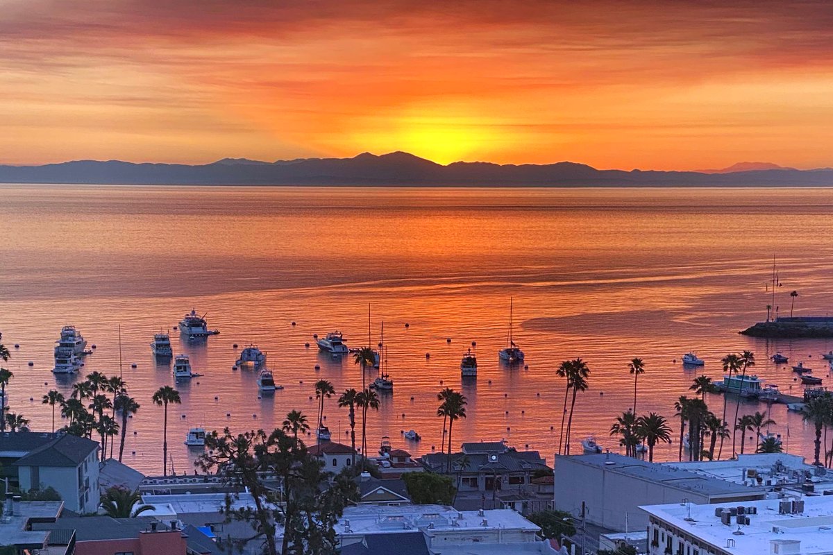 Eagle’s Nest | Voted Best Panoramic View in Avalon