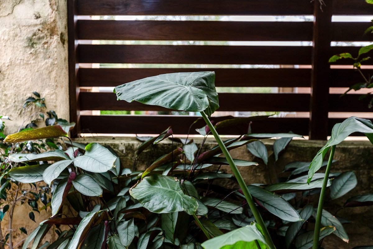 Karri Keep – 3 Bedrooms 3 Bathrooms Town House gallery image 5