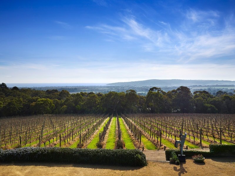 Harry’s Red Hill gallery image 4