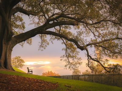 Waterview terrace in rock