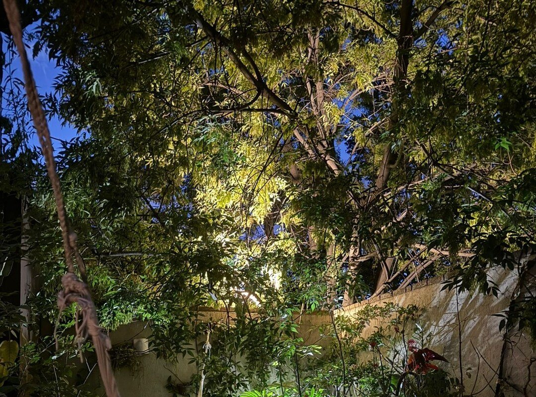 Artist’s Atelier | Roma 3BR Orchid House gallery image 4