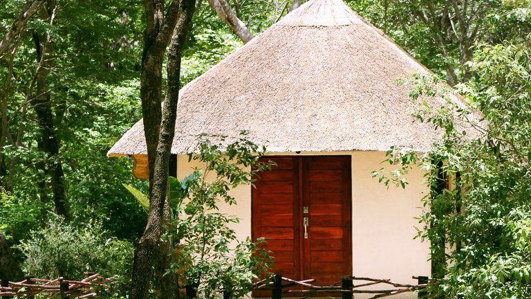 Gwango Elephant Lodge Forest Chalet
