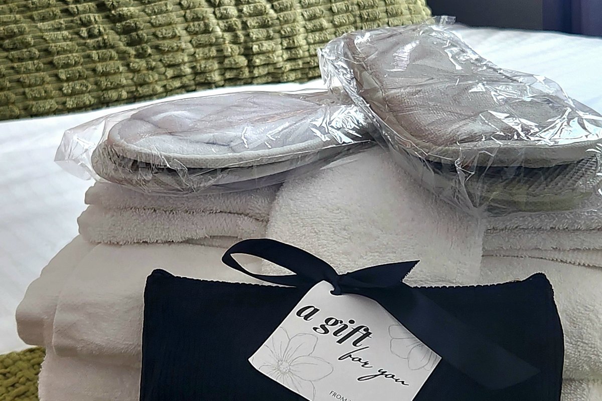 Luxe 2 level Apt nr Seaport/Convention Centre BCEC