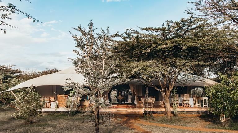 Mara Expedition Camp Guest Area - Under the grove of Africa acacia trees, its humble main area is lit by lantern and candlelit, simple in design, but just enough for all the comforts. This camp’s ambience and ‘back to the classic’ safari design will be a sure hit with private groups and safari enthusiasts alike.