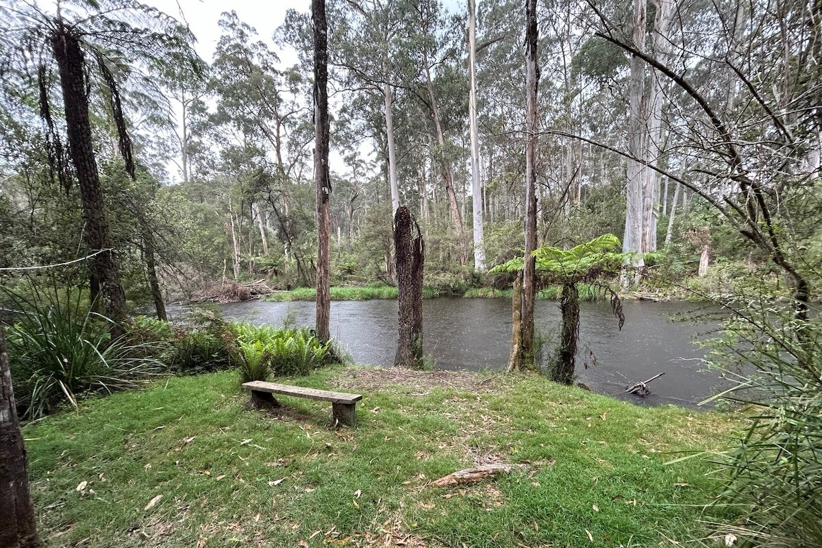 Hidden River, along the river. gallery image 3