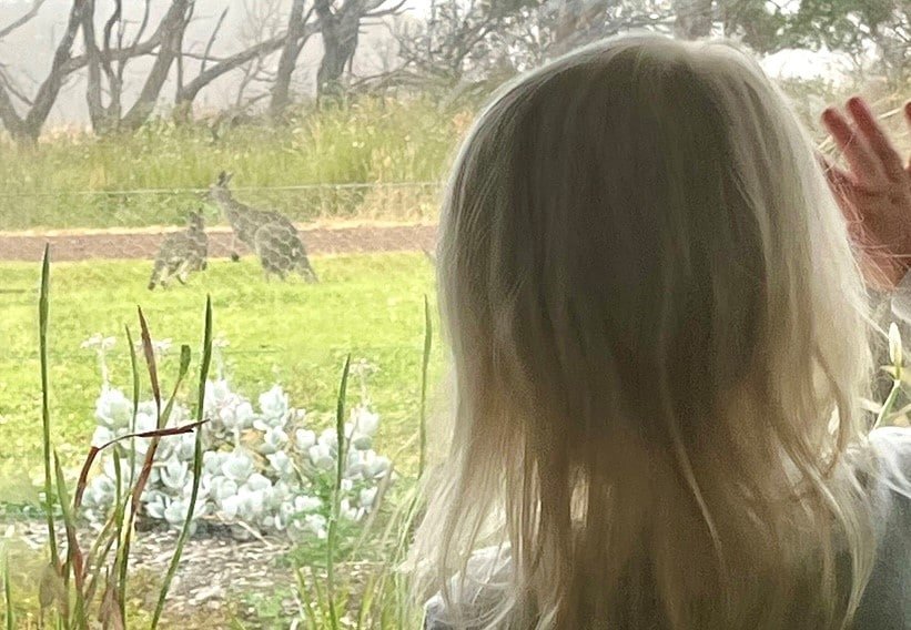 The Farmhouse-Historic Ocean View Homestead gallery image 5