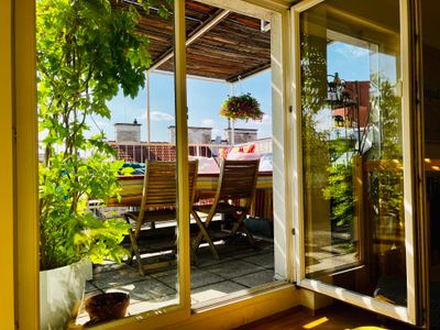 Rooftop OASIS in the heart of Vienna