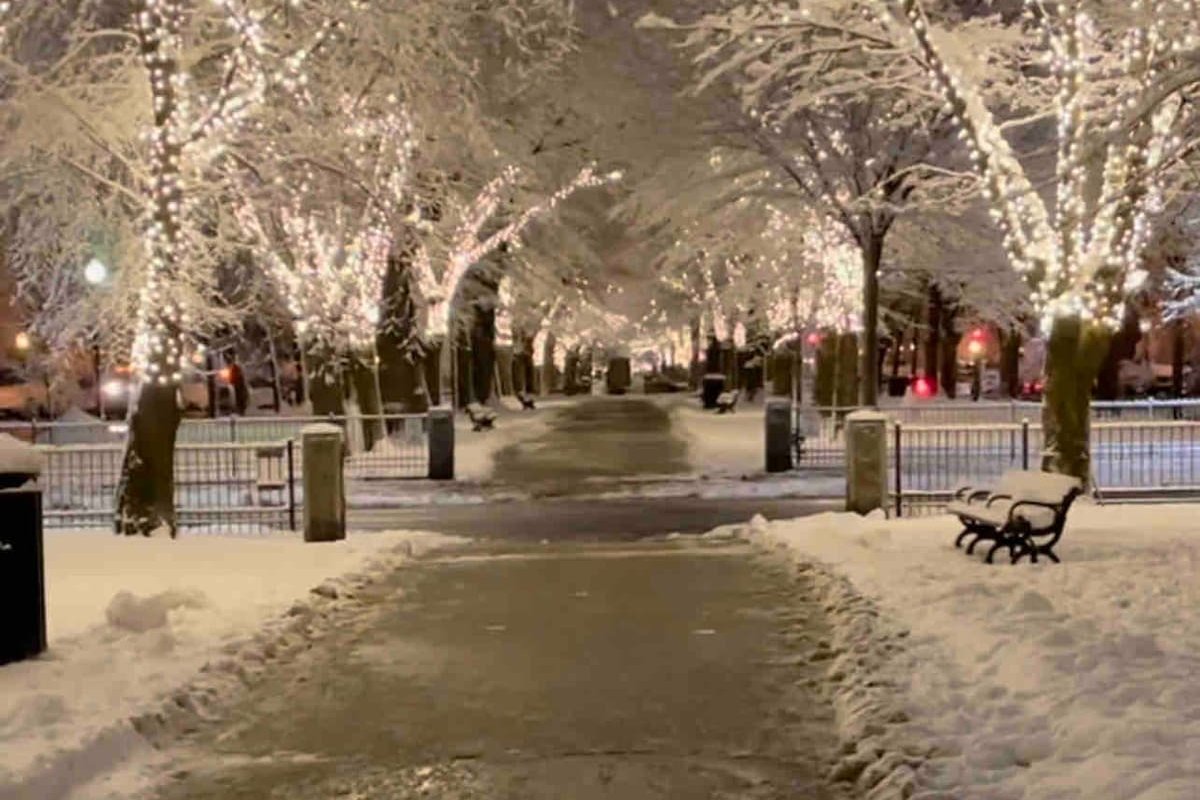 Art Penthouse / Roofdeck in the Heart of Boston gallery image 5