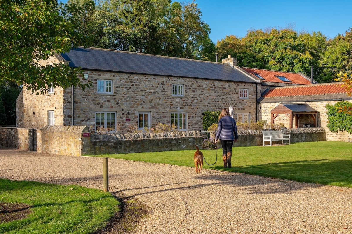 Henry | Holiday at Home