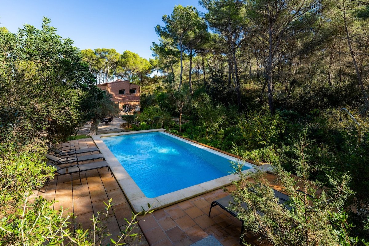 Finca Perello gallery image 2