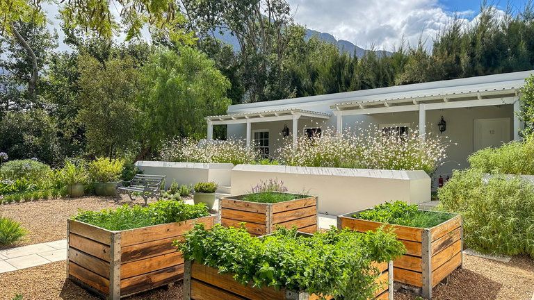 Lavender Farm Guesthouse photo