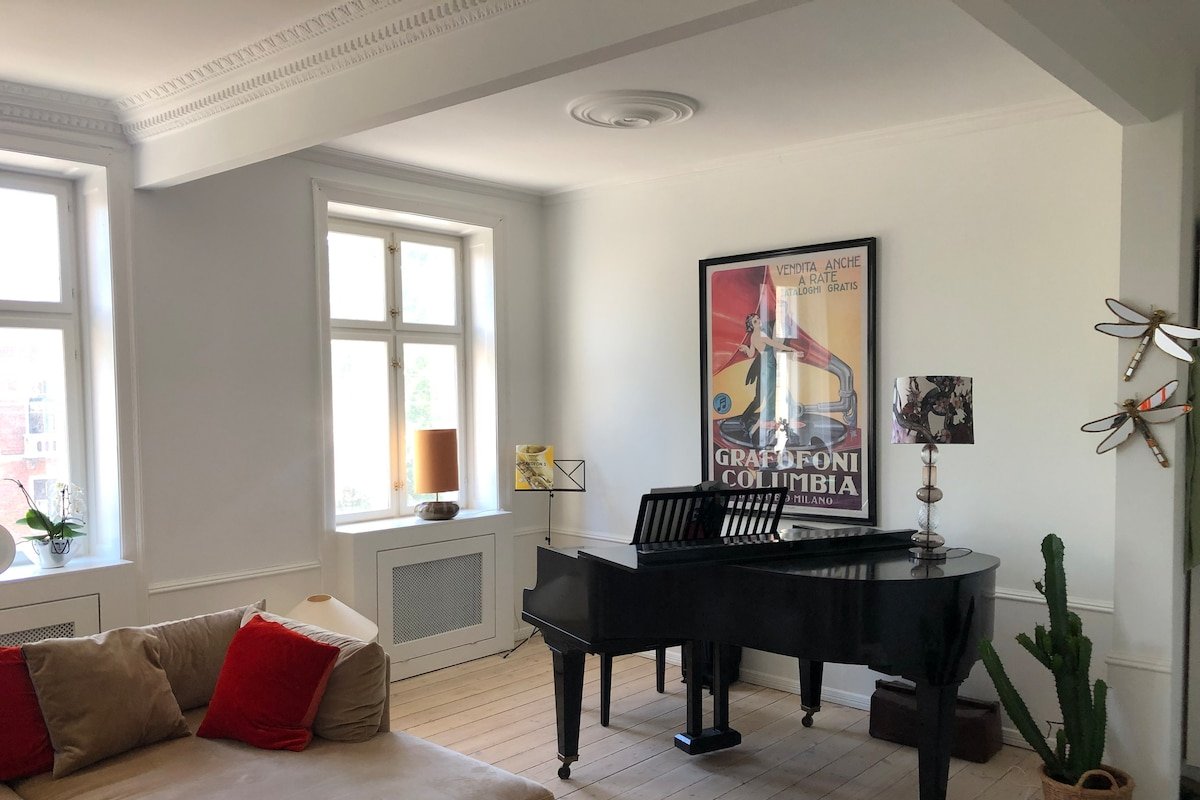 Big, modern apartment in the heart of Copenhagen gallery image 3