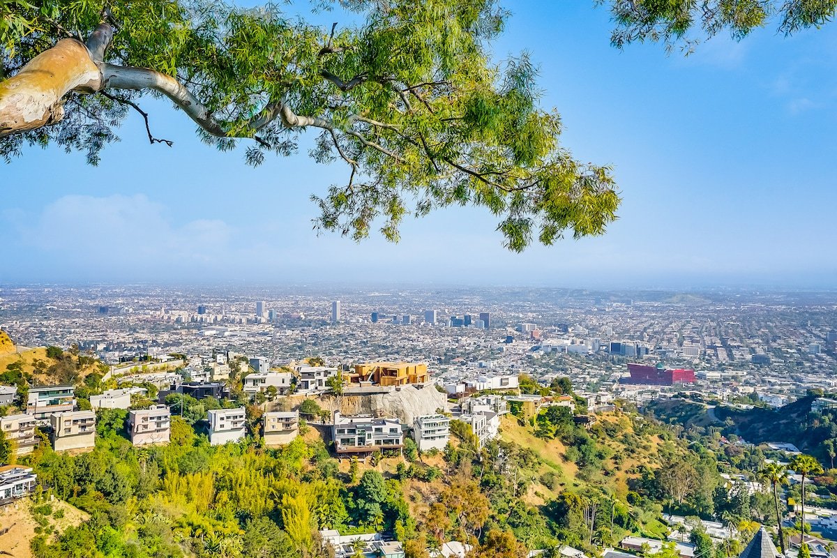 Hollywood Hills Serenity with a view gallery image 2