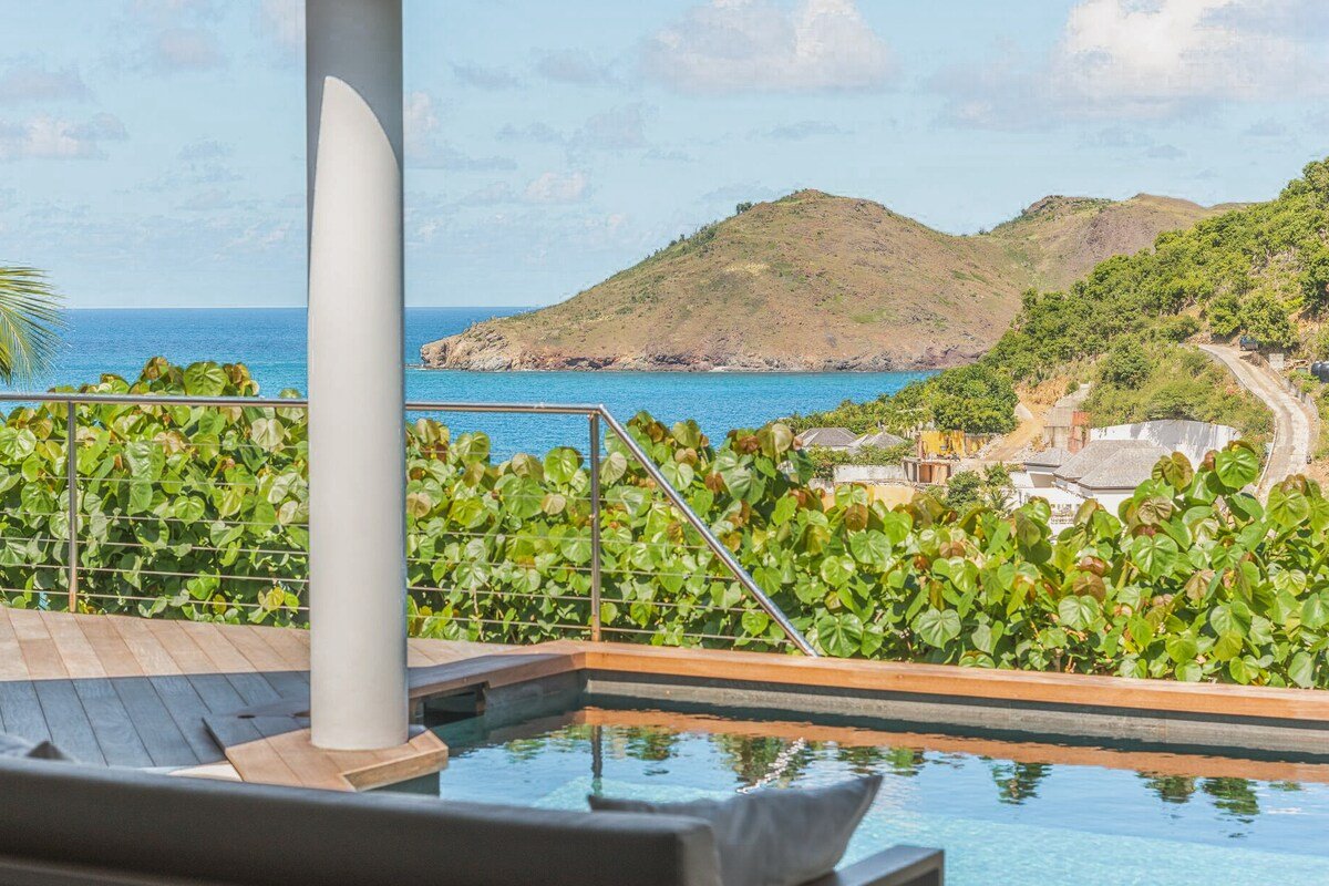 Magic Bird gallery image 4