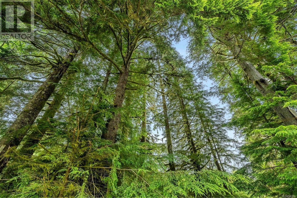 Forest Cove two bedroom 3 beds guest suite