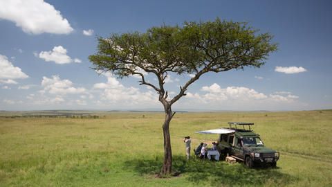 Elewana Sand River Masai Mara - A bush lunch on the Masai Mara plains