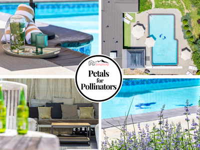 Petals 4 Pollinators | Peaceful Stay in Denver