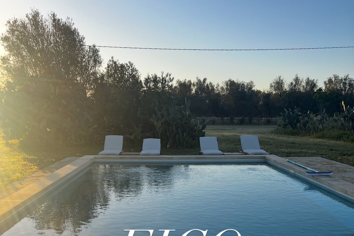 Fico d’India – Escape to Puglia gallery image 3