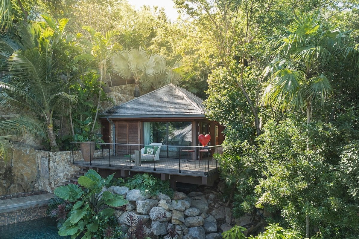 Senna gallery image 3