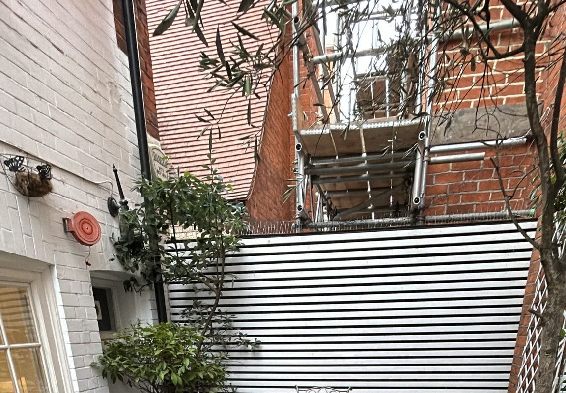 Renovated Historical Home with Enclosed Terrace gallery image 4