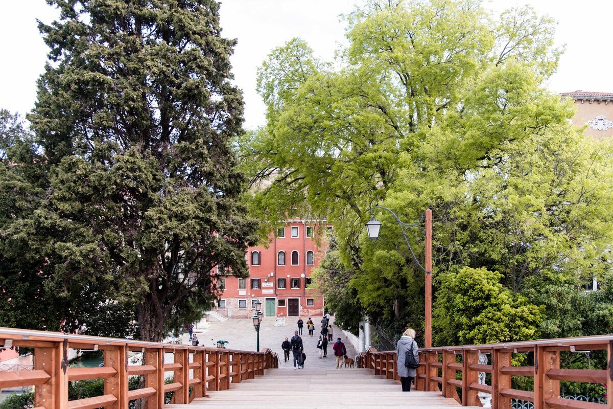 Ciliota Deluxe 027042-LOC-16239 gallery image 5