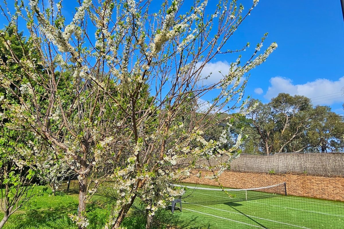 Cinema, Pool, Karaoke & more | Maggie’s Guesthouse gallery image 3